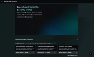 Set up Microsoft Copilot for Security