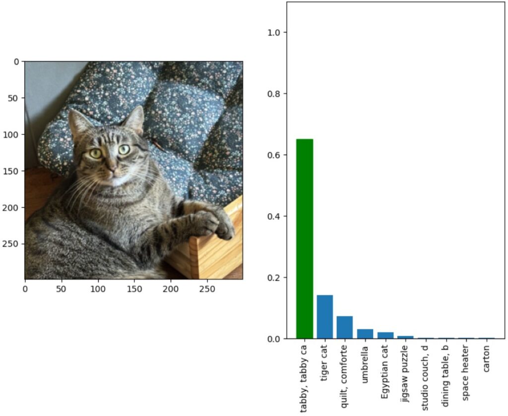 Przykładowe zdjęcie kota
