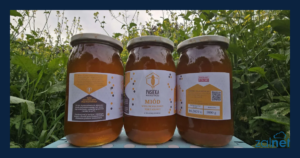 Honeypoty w praktyce – Dlaczego NIE polecam tej książki? - ZALNET