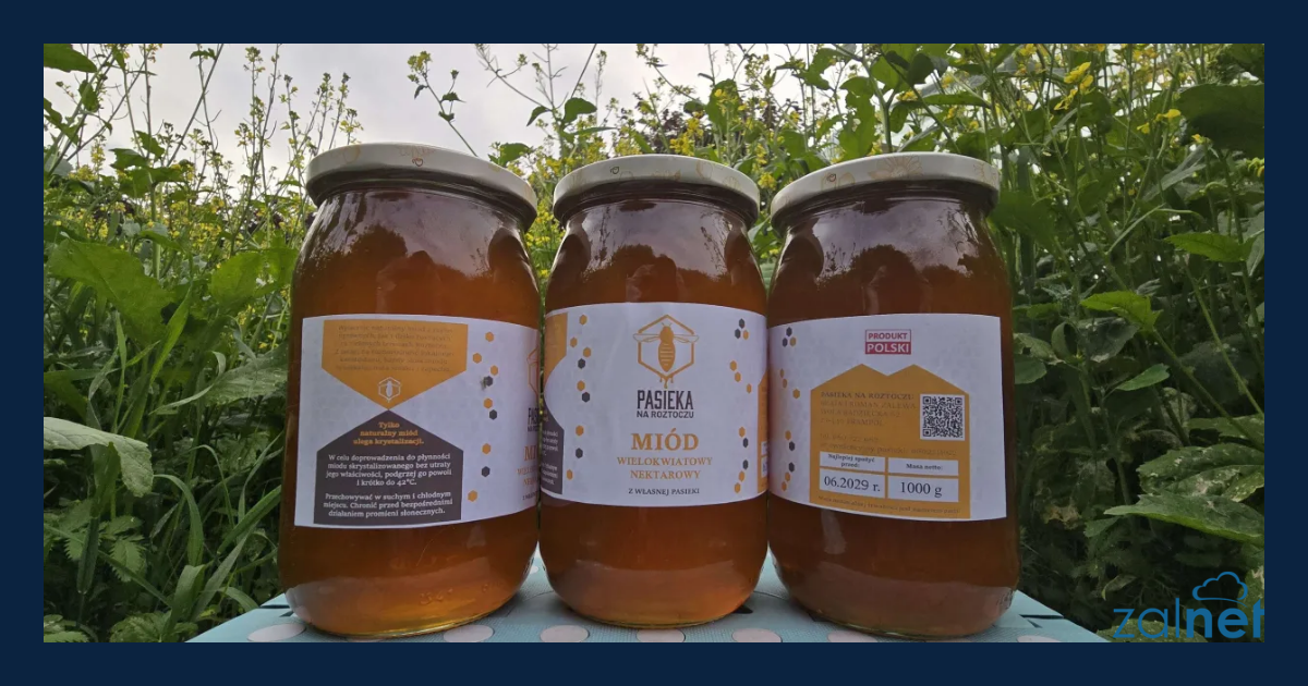 Honeypoty w praktyce – Dlaczego NIE polecam tej książki? - ZALNET