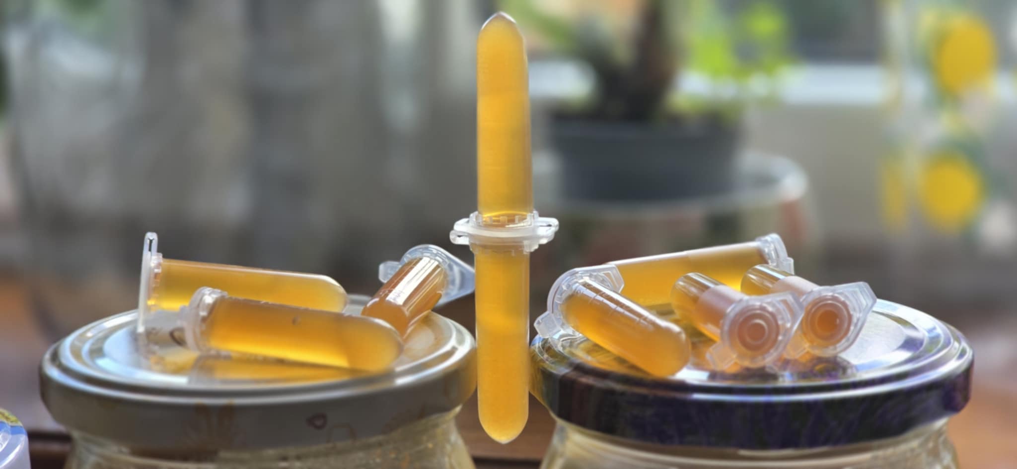Co to jest Honeypot? Rodzaje i zastosowanie pułapek na hakerów