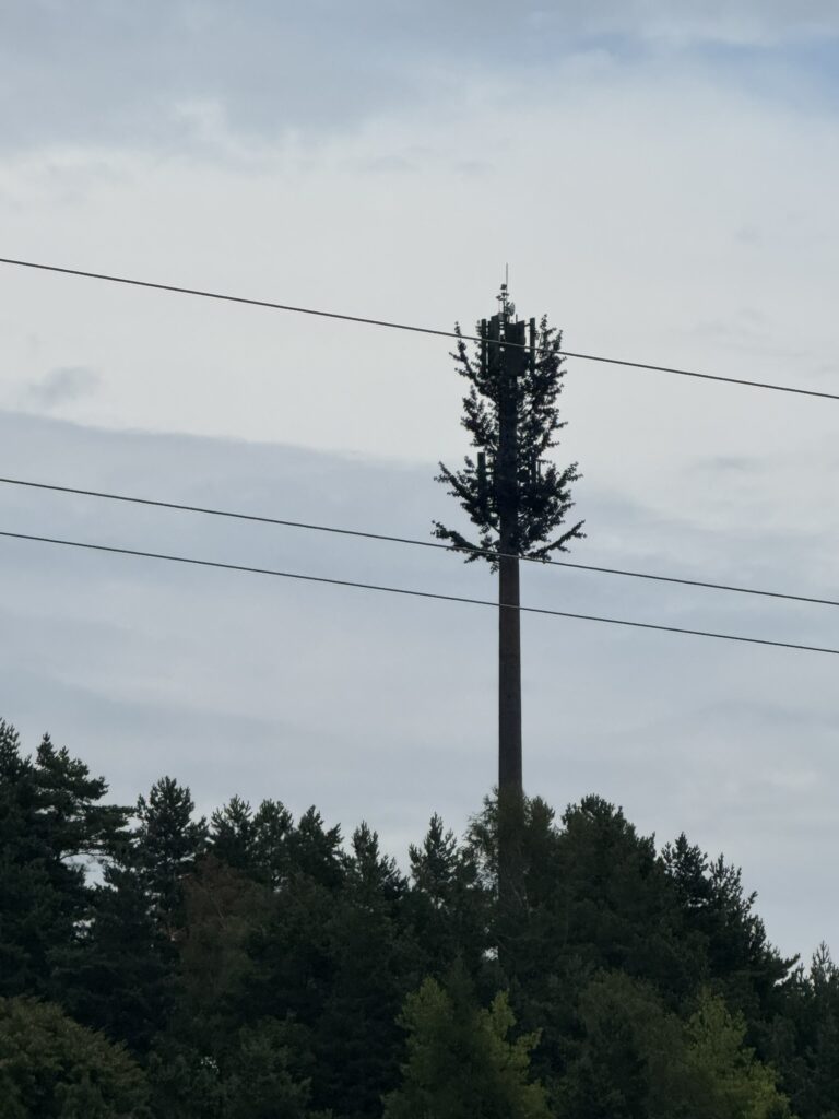 Wieża BTS w kształcie sosny w Roztoczańskim Parku Narodowym