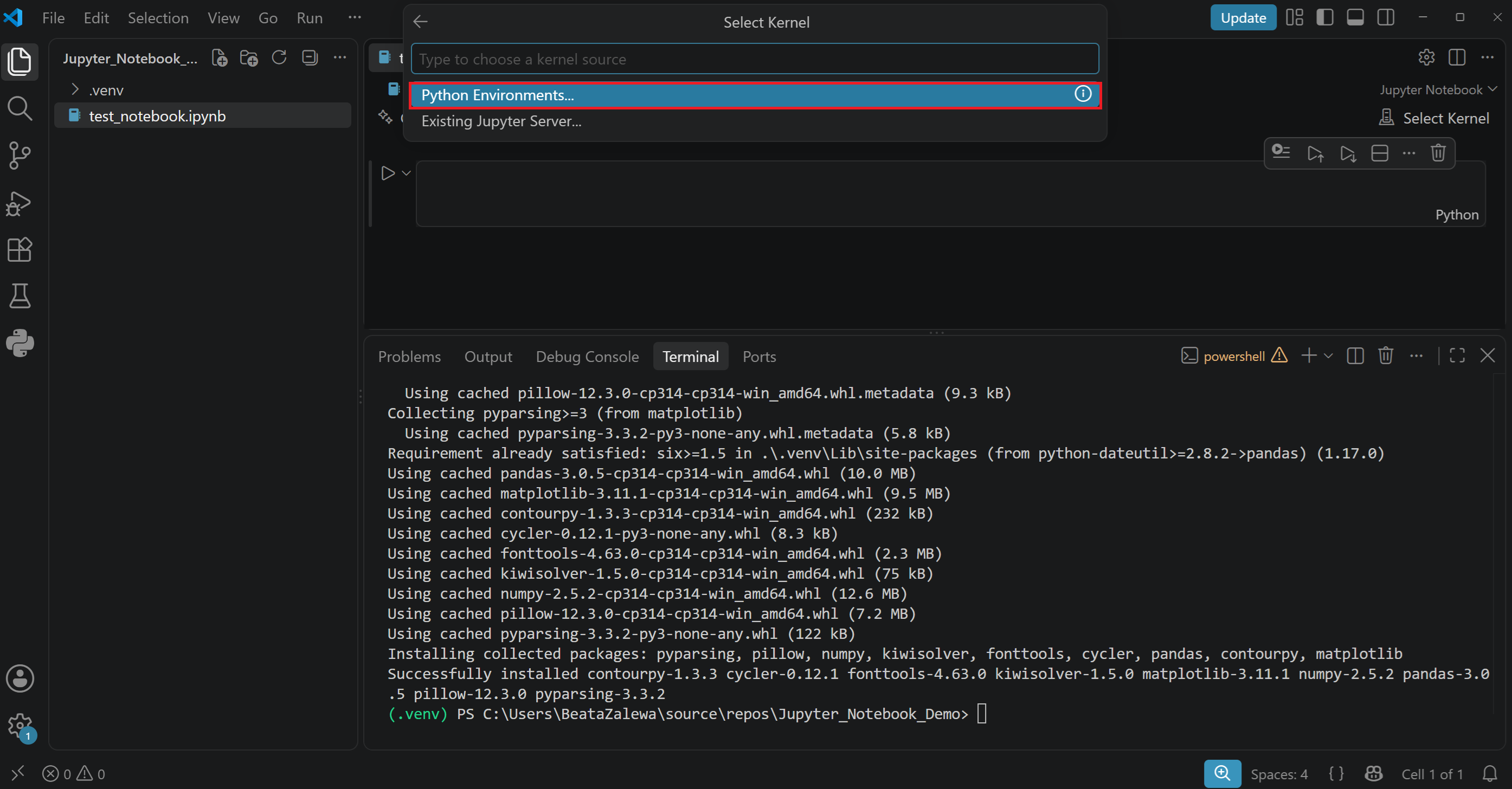 (PL) Python Environments w VS Code/(EN) Python Environments in VS Code