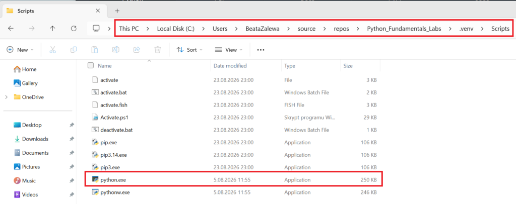 Path to Python in Virtual Environment