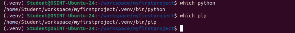 Sprawdzenie lokalizacji dla python i pip w projekcie